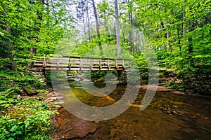 Wooden footbridge over Kitchen Creek, at Ricketts Glen State Park, Pennsylvania