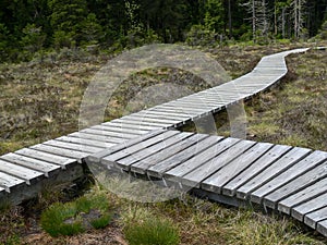 Wooden footbridge over a moor in the Harz Mountains, Saxony-Anhalt, Germany