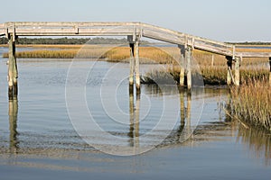 Wooden footbridge over North Carolina swamp