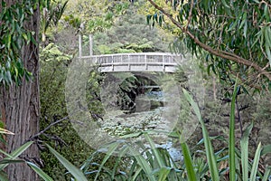 Wooden Footbridge over Small Waterway