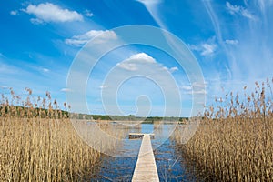 Wooden footbridge and reeds on the lake .