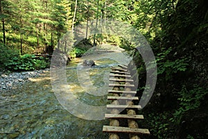 A wooden footbridge running along a larger stream in the Slovak Paradise National Park