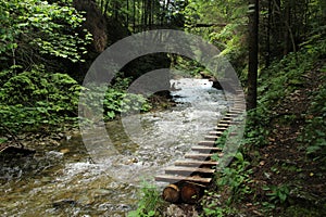 A wooden footbridge running along a larger stream in the Slovak Paradise National Park
