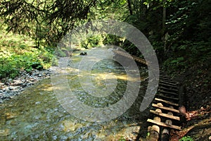 Dřevěná lávka podél většího potoka v Národním parku Slovenský ráj
