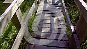 Wooden footbridge through the swamp