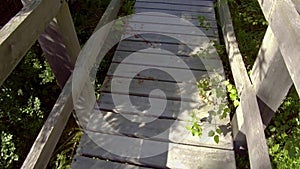 Wooden footbridge through the swamp