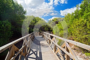 The wooden footbridge to the Beach Playa de Muro during a sunny summer day on Mallorca, Spain