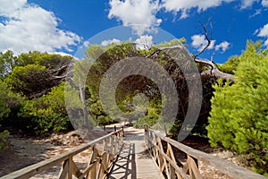 The wooden footbridge to the Beach Playa de Muro during a sunny summer day on Mallorca, Spain