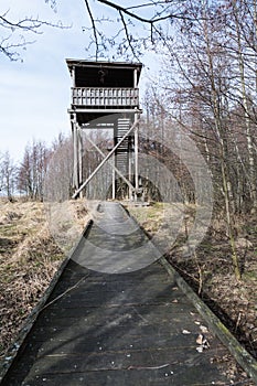 Wooden footbridge to the bird watching tower