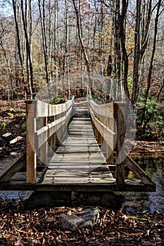 Wooden Footbridge on a Trail in the Pocono Mountains