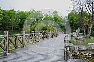 Wooden footbridge in verdant spring