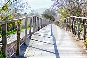 Wooden footbridge for walking in Nature Reserve