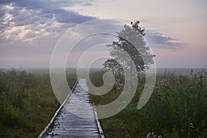 Wooden footbridge among wet meadows photo