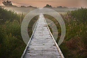 Wooden footbridge among wet meadows photo