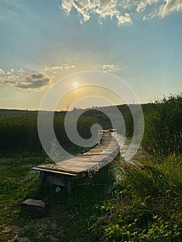 Wooden footbridge winding through lush green reeds at sunset. Calm and serene landscape capturing natural beauty and the