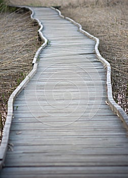 Wooden footpath