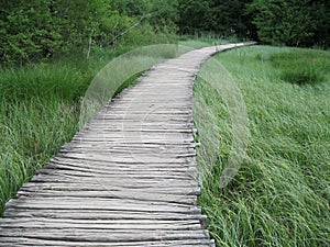 Wooden footpath