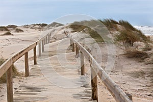 Wooden footpath through dunes at the ocean beach