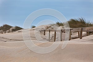 Wooden footpath through dunes at the ocean beach in Portugal