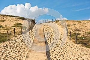 Wooden footpath through dunes at the ocean beach