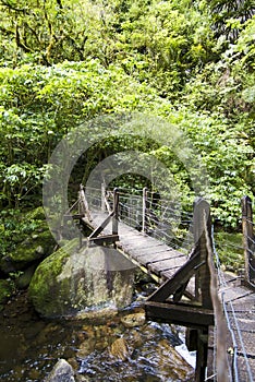 Wooden footpath over bridge