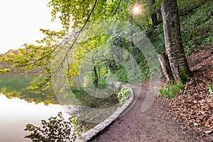 Wooden footpath at Plitvice lakes, Croatia. Road in the forest near beautiful lakes. Peaceful place in national park