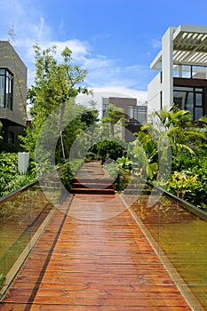 Wooden footpath through a tranquil garden