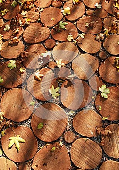 Wooden footway photo