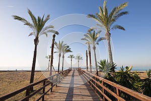 Wooden footway and palm trees in Beach of Benicassim