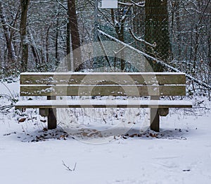 Wooden forest bench covered in a layer of snow, the woods in winter season, cold and snowy weather