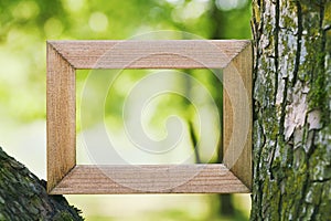 Wooden frame against a green blurred natural background. Empty space for text. Connecting with nature concept.