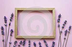 Wooden frame with beautiful flowers of fragrant lavender