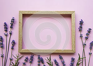 Wooden frame with beautiful flowers of fragrant lavender