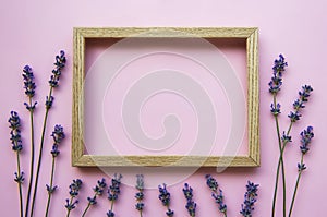 Wooden frame with beautiful flowers of fragrant lavender