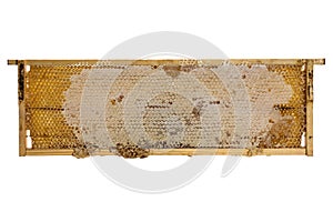 Wooden frame with bee honeycombs