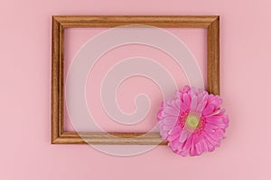 Wooden frame with pink flower gerbera on pastel pink background, copy space. Spring greeting card. Valentine`s day