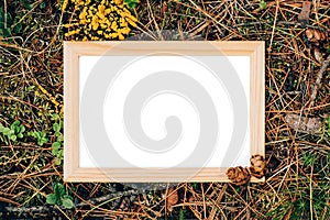 Wooden frame with white blank card on green natural background in forest. Top view Flat lay Mockup