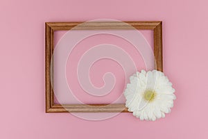 Wooden frame with white flower gerbera on pastel pink background, copy space. Spring greeting card. Valentine`s day