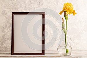 Wooden frame with yellow iris flower in glass on gray concrete background. side view, copy space