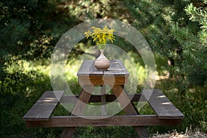 Wooden furniture in garden outdoors. Simple benches and dining table with bouquet of yellow flowers in clay vase on it