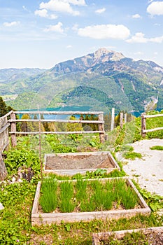Wooden garden beds for growing herbs and vegetables with a view of mountains and lake