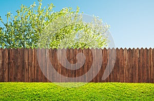 A wooden garden fence at backyard and bloom tree