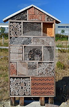 Wooden garden insect house