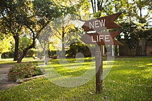 Wooden garden sign reading