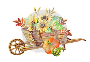 Wooden garden wheelbarrow with wheat,sunflower. Autumn Pumpkin