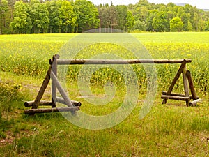Wooden gate on country road between forest and rapeseed field