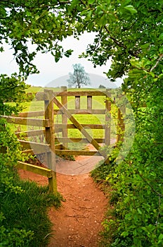 Wooden gate in countryside