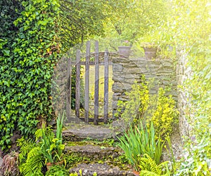 Wooden gate in a stone wall on a farm on sunlight