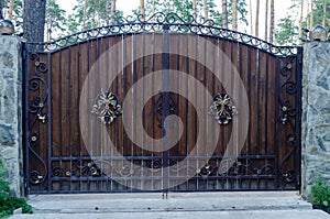 Wooden gate with wrought iron elements