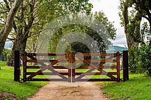 Wooden gates to a tree lined avenue